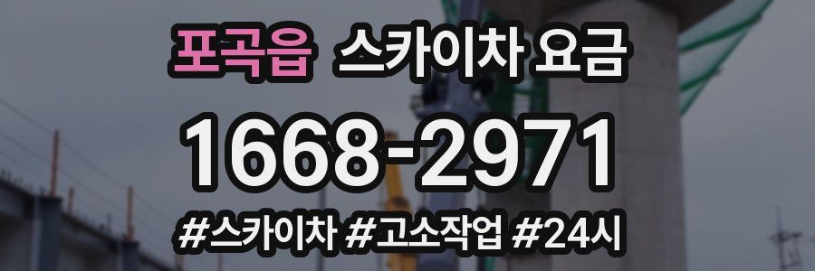 포곡읍 스카이차 요금