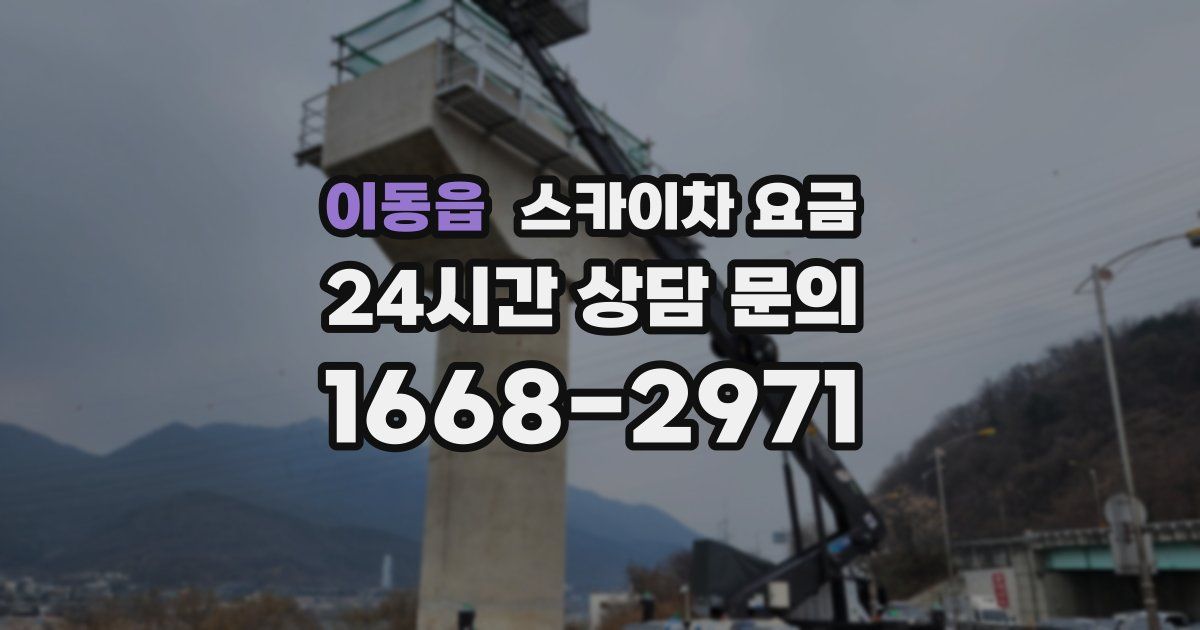 이동읍 스카이차 요금