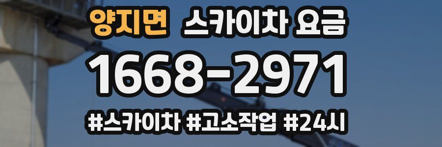 양지면 스카이차 요금