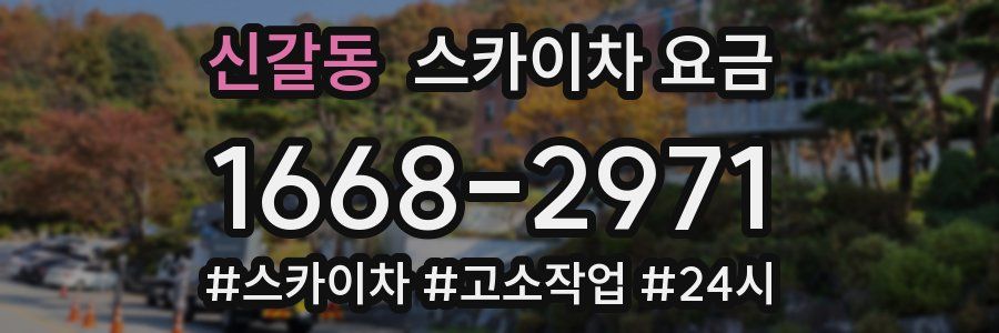 신갈동 스카이차 요금