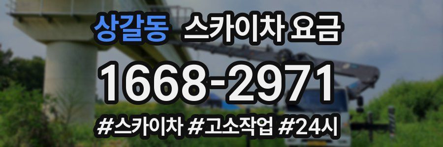 상갈동 스카이차 요금