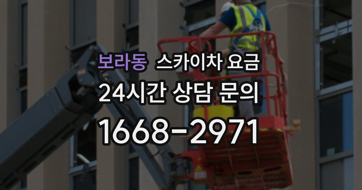 보라동 스카이차 요금