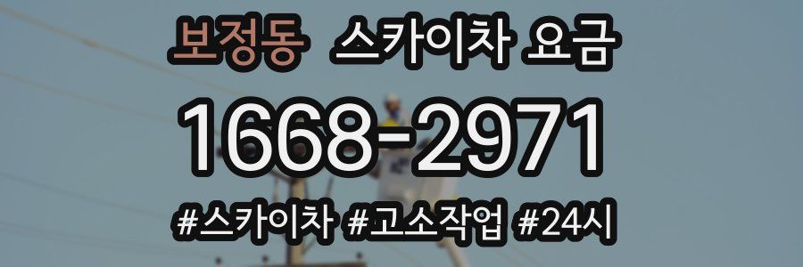 보정동 스카이차 요금
