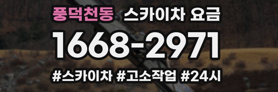 풍덕천동 스카이차 요금