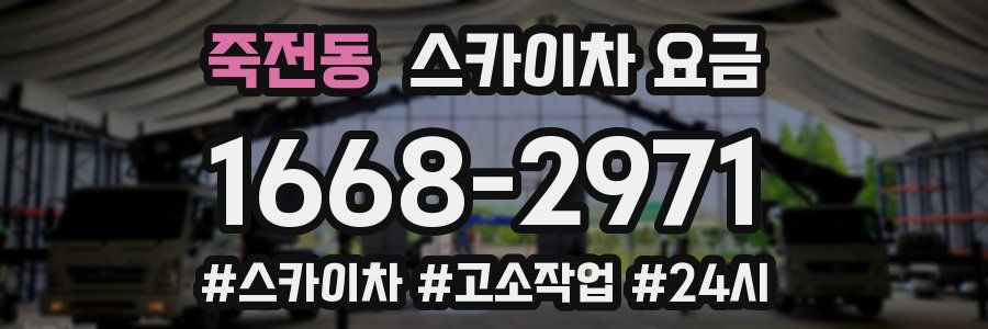 죽전동 스카이차 요금