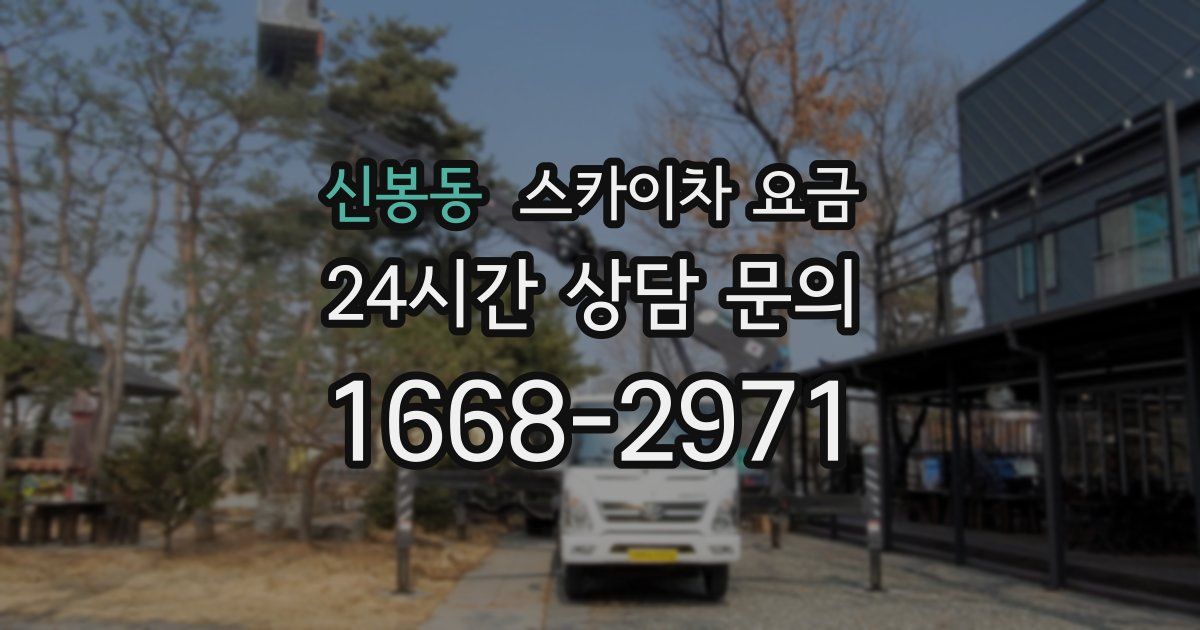 신봉동 스카이차 요금