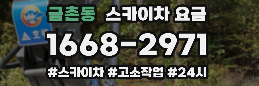 금촌동 스카이차 요금