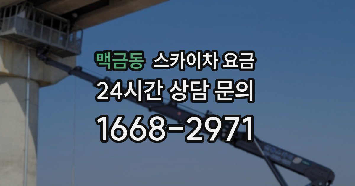 맥금동 스카이차 요금