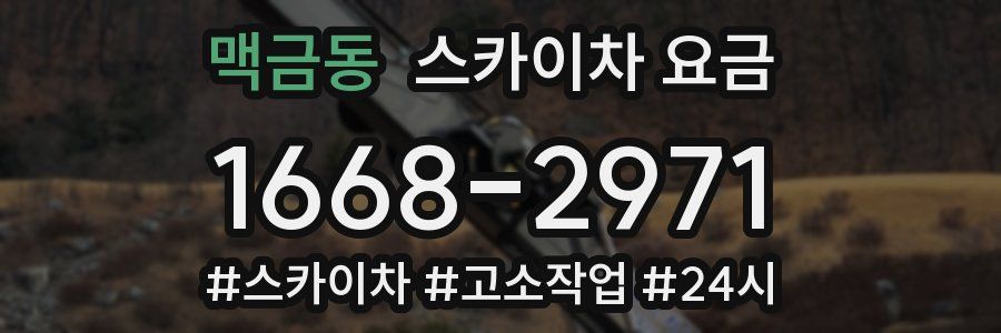 맥금동 스카이차 요금