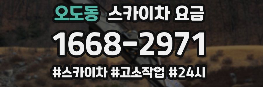 오도동 스카이차 요금