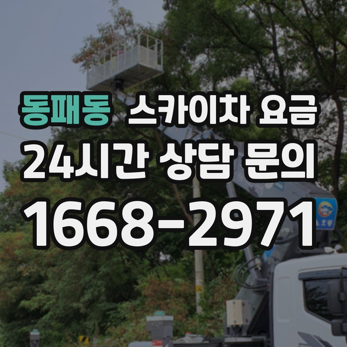 동패동 스카이차 요금