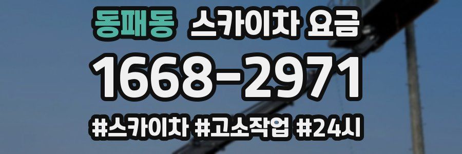 동패동 스카이차 요금