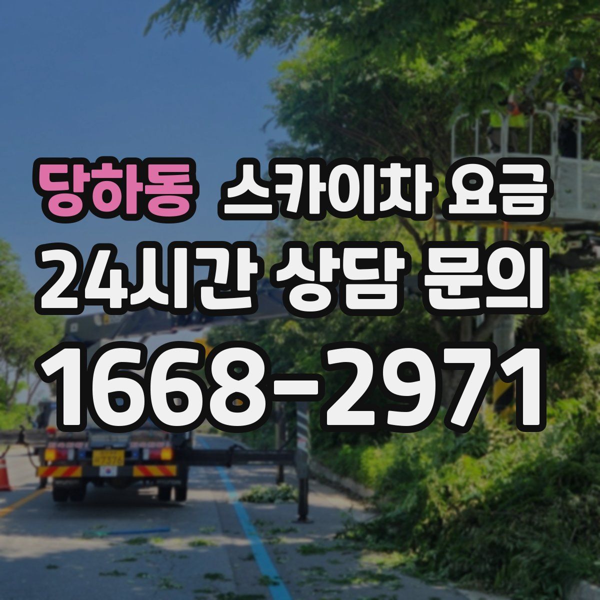 당하동 스카이차 요금