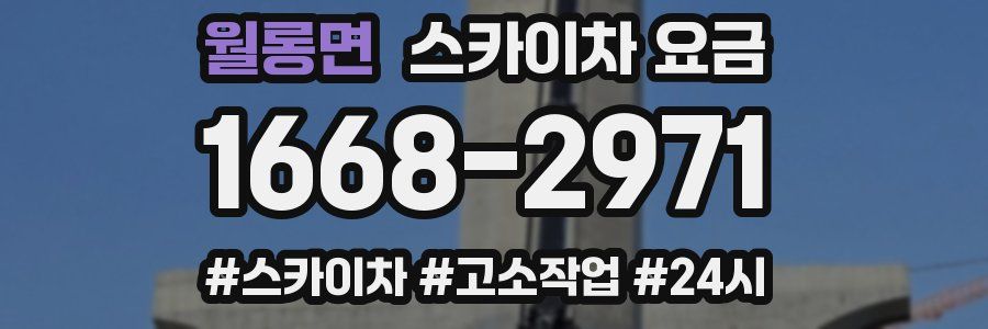 월롱면 스카이차 요금