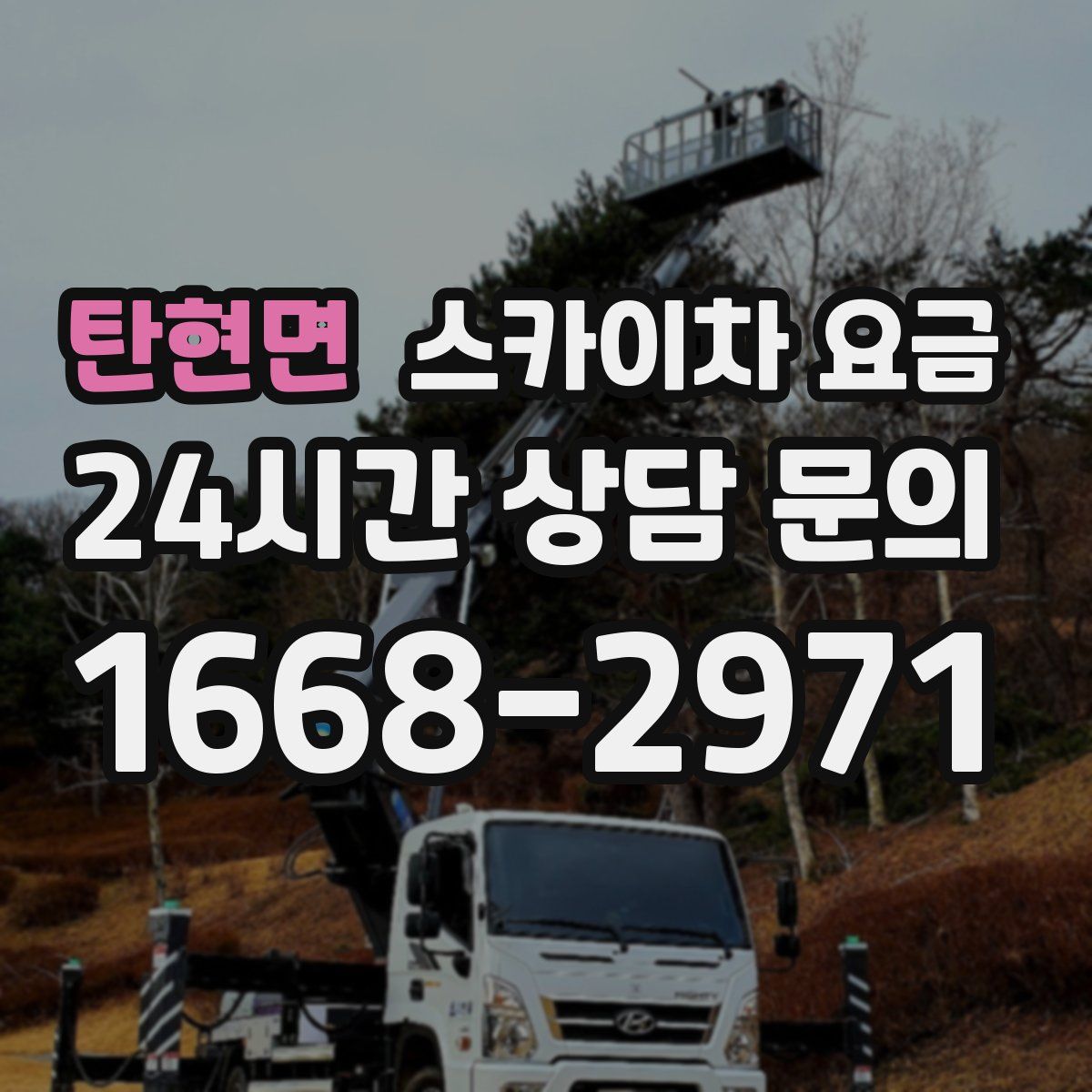 탄현면 스카이차 요금