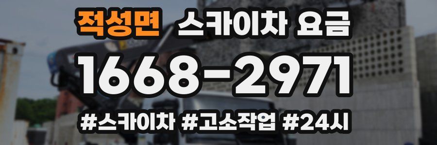 적성면 스카이차 요금