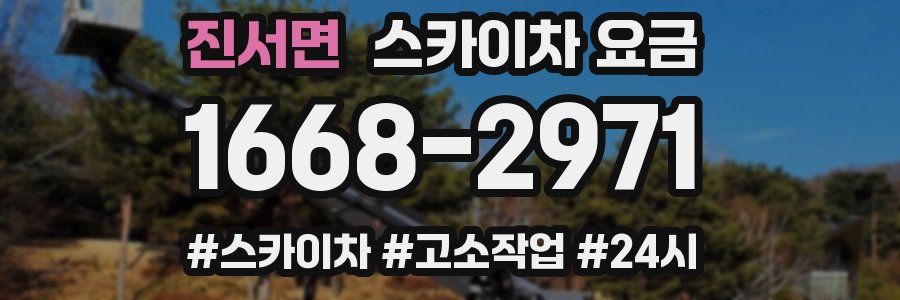 진서면 스카이차 요금
