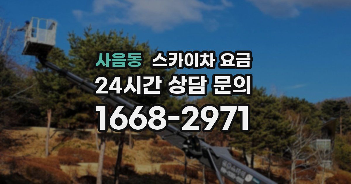 사음동 스카이차 요금