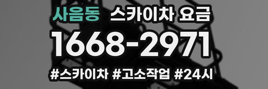 사음동 스카이차 요금