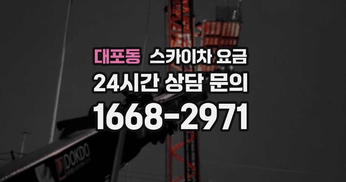 대포동 스카이차 요금