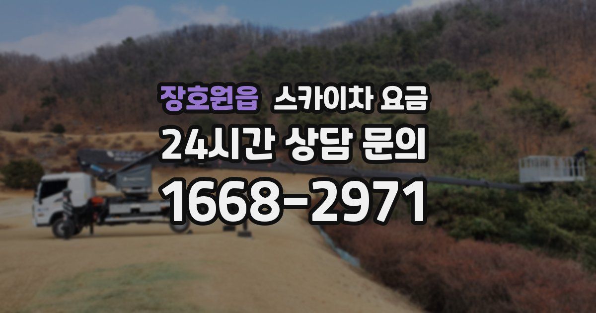 장호원읍 스카이차 요금