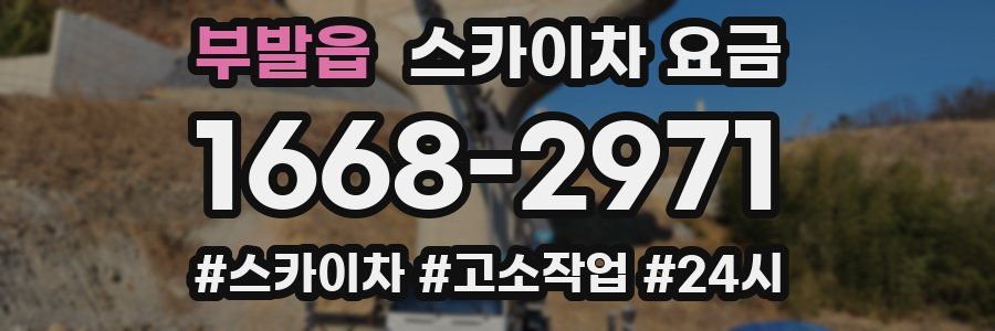 부발읍 스카이차 요금