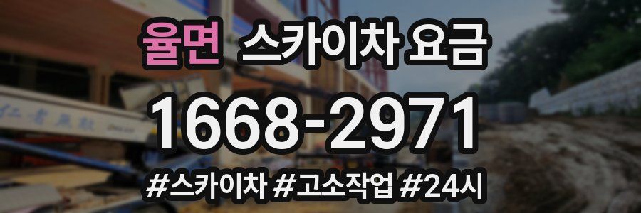 율면 스카이차 요금