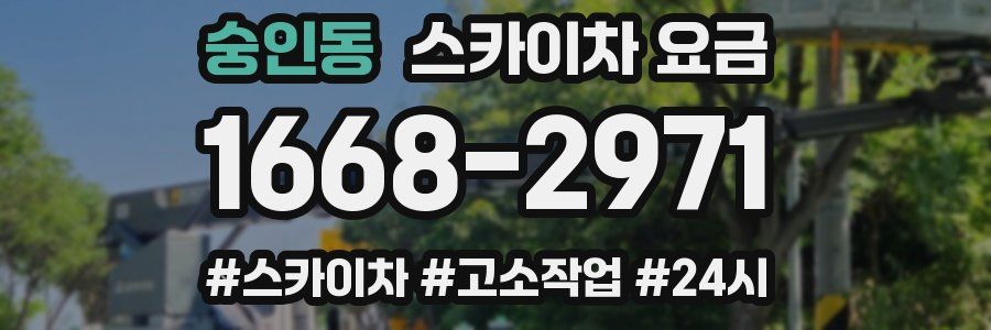 숭인동 스카이차 요금