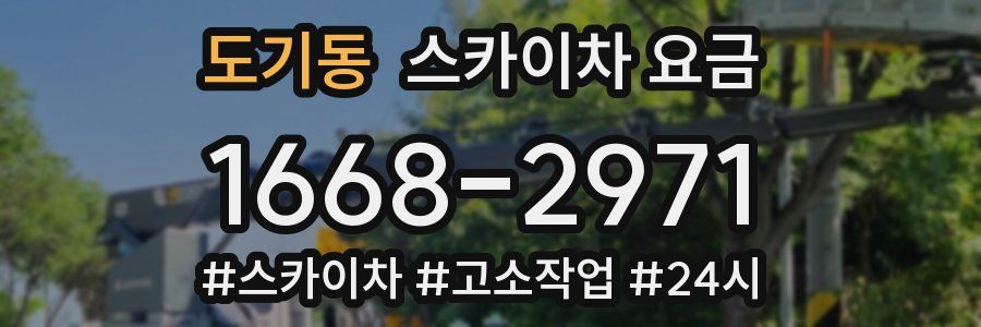 도기동 스카이차 요금