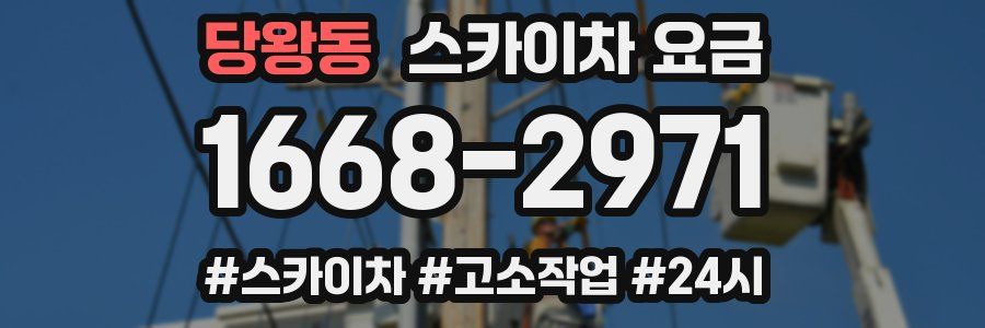 당왕동 스카이차 요금