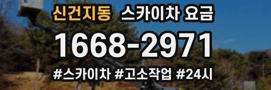 신건지동 스카이차 요금