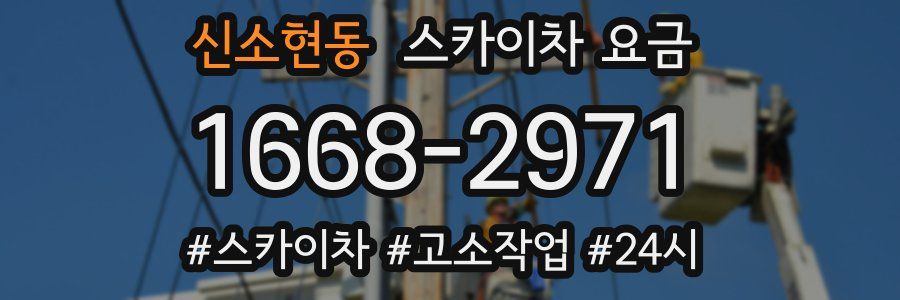 신소현동 스카이차 요금