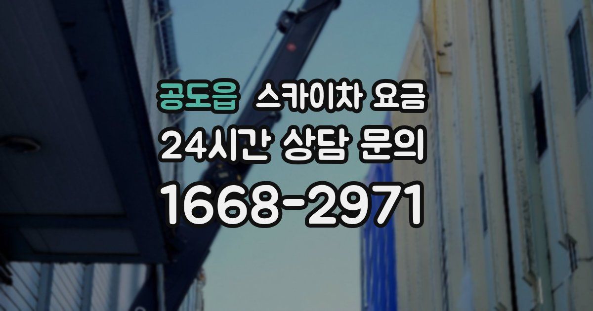 공도읍 스카이차 요금