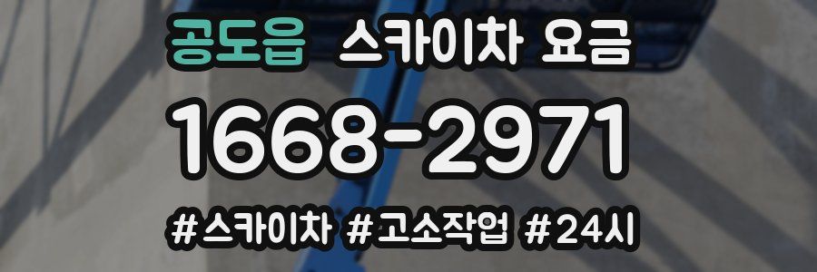 공도읍 스카이차 요금