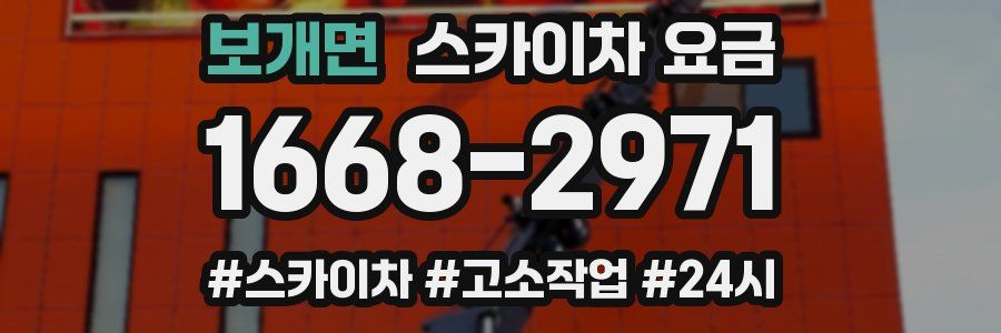 보개면 스카이차 요금