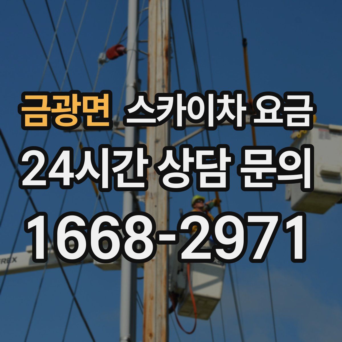 금광면 스카이차 요금