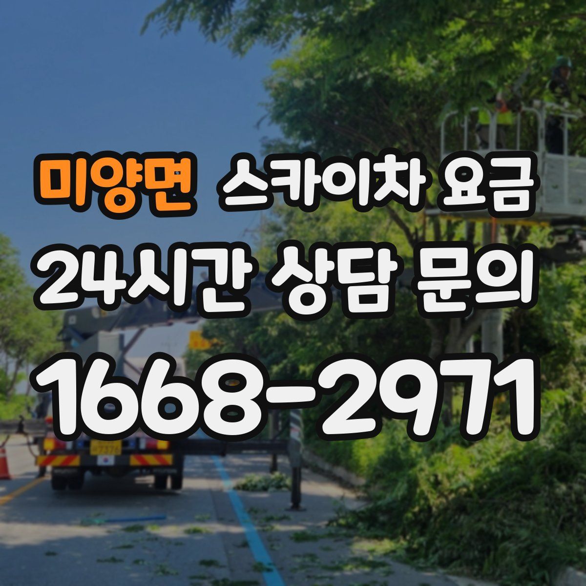 미양면 스카이차 요금
