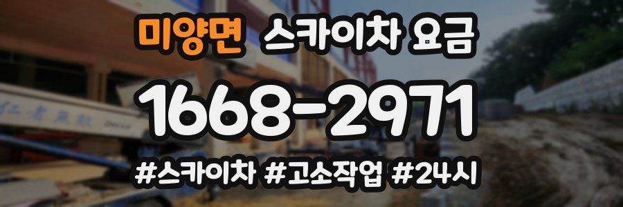 미양면 스카이차 요금