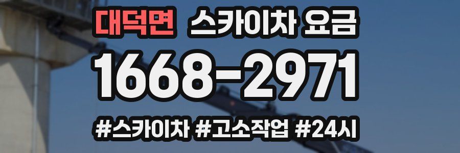 대덕면 스카이차 요금