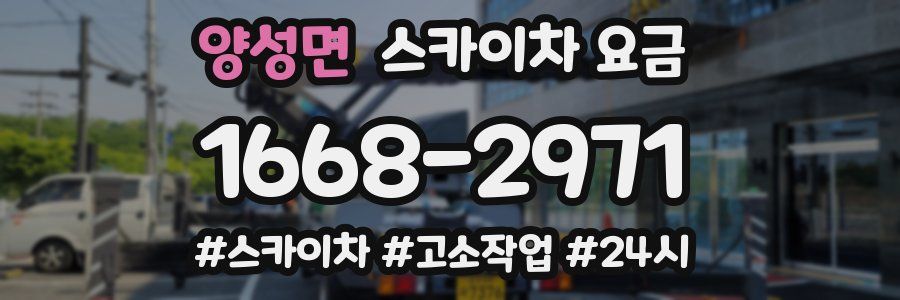 양성면 스카이차 요금
