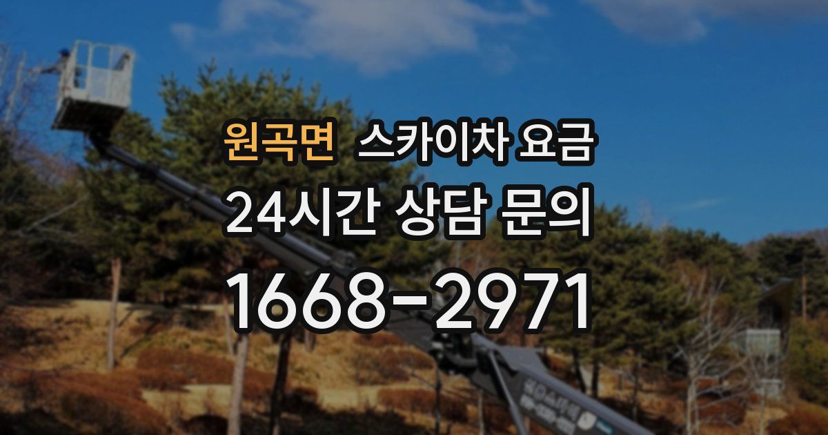 원곡면 스카이차 요금
