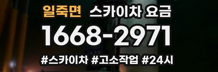 일죽면 스카이차 요금