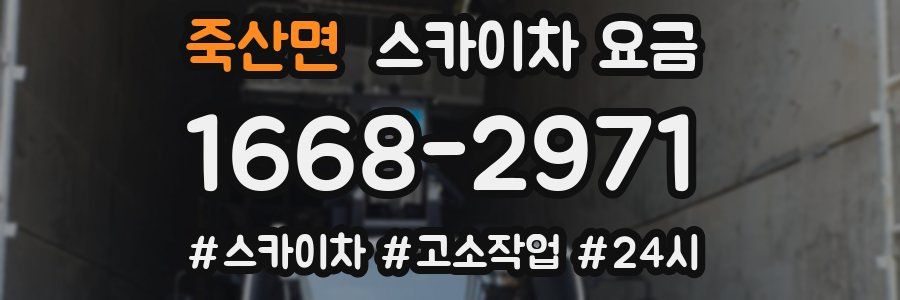 죽산면 스카이차 요금