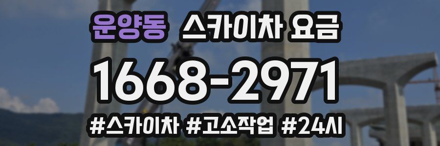 운양동 스카이차 요금