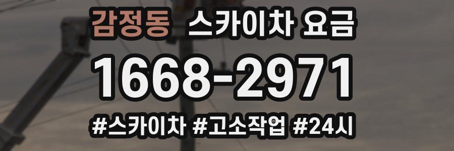 감정동 스카이차 요금