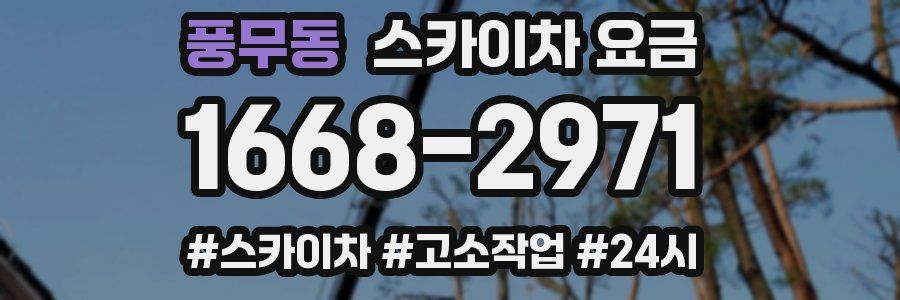 풍무동 스카이차 요금