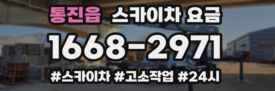 통진읍 스카이차 요금