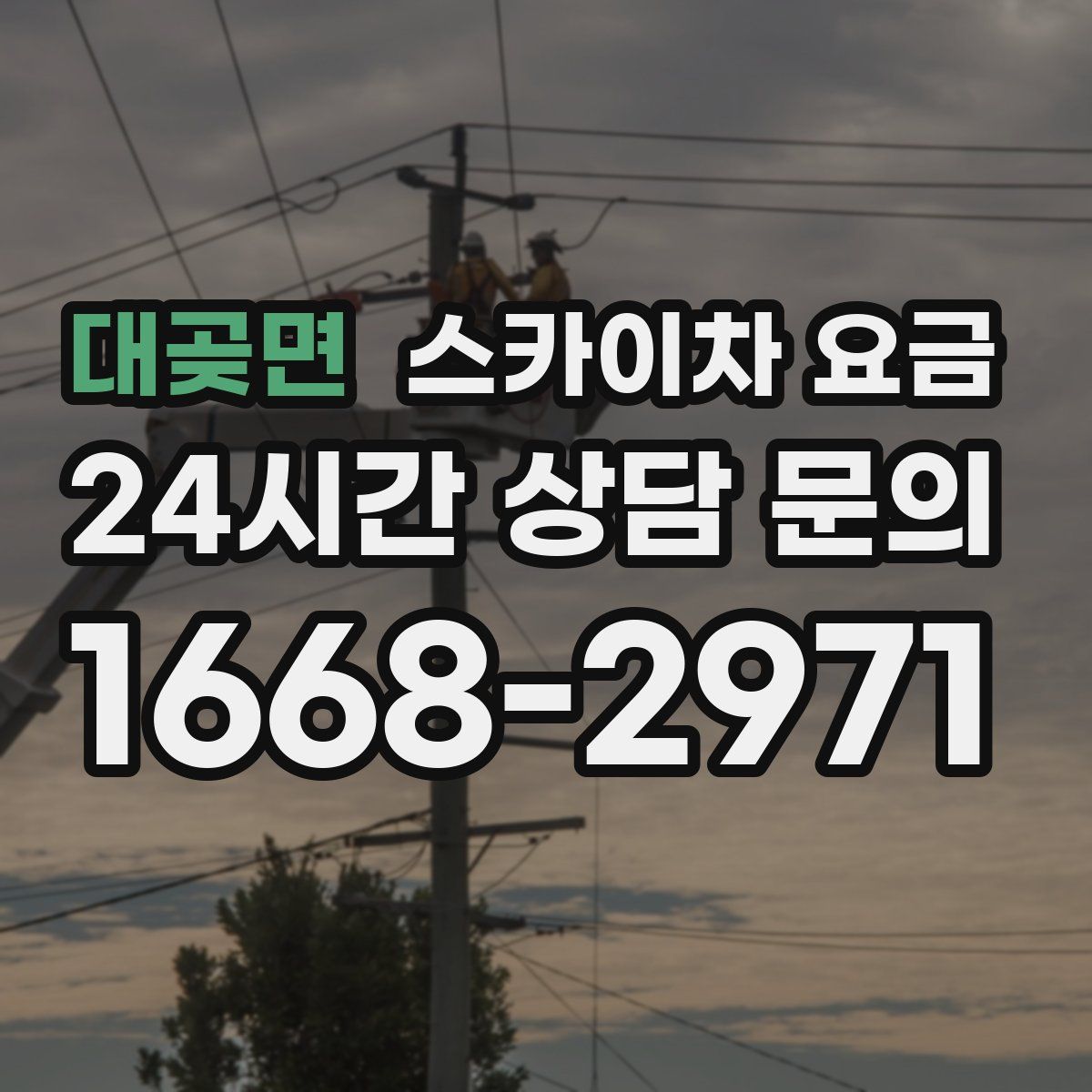 대곶면 스카이차 요금