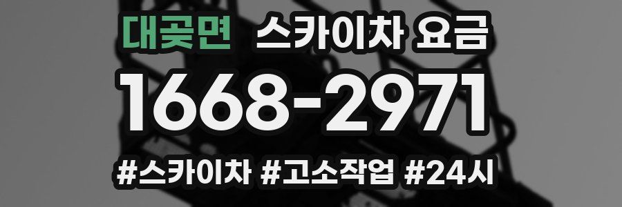 대곶면 스카이차 요금