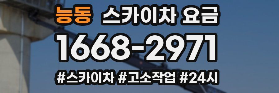 능동 스카이차 요금